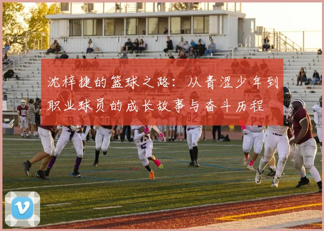 沈梓捷的篮球之路：从青涩少年到职业球员的成长故事与奋斗历程