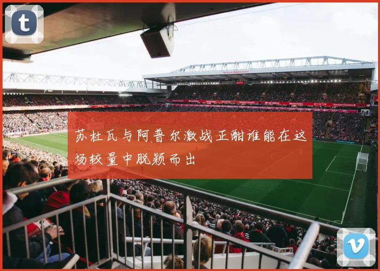苏杜瓦与阿普尔激战正酣谁能在这场较量中脱颖而出