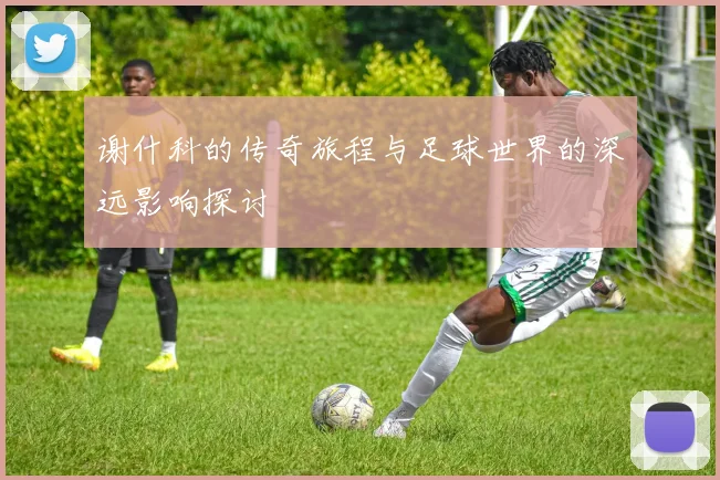 谢什科的传奇旅程与足球世界的深远影响探讨